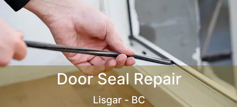  Door Seal Repair Lisgar - BC