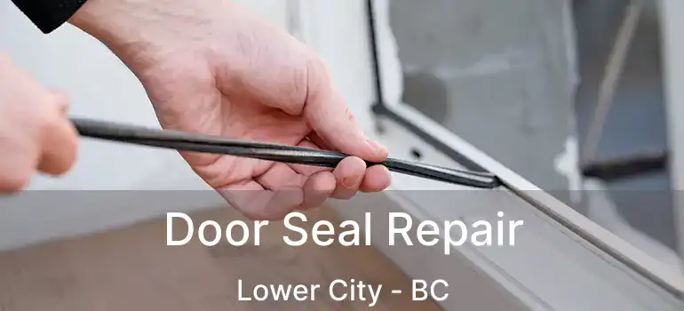  Door Seal Repair Lower City - BC
