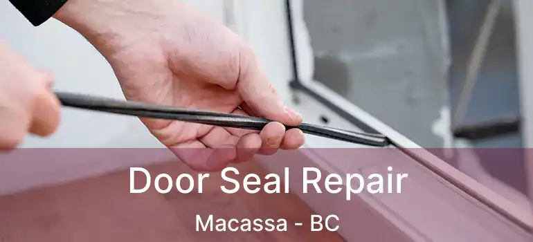 Door Seal Repair Macassa - BC