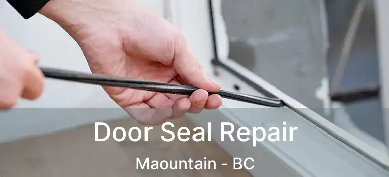  Door Seal Repair Maountain - BC