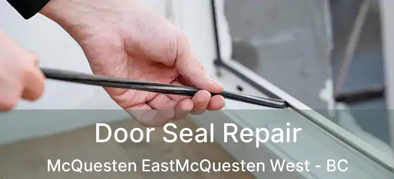  Door Seal Repair McQuesten EastMcQuesten West - BC