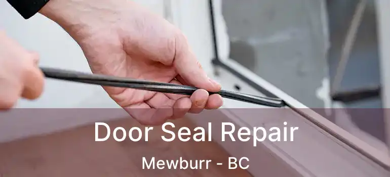  Door Seal Repair Mewburr - BC