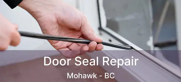  Door Seal Repair Mohawk - BC