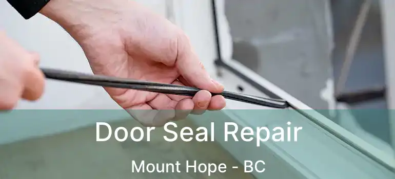  Door Seal Repair Mount Hope - BC