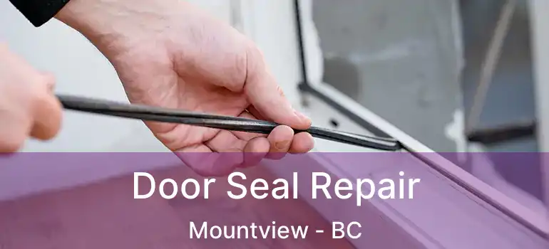  Door Seal Repair Mountview - BC
