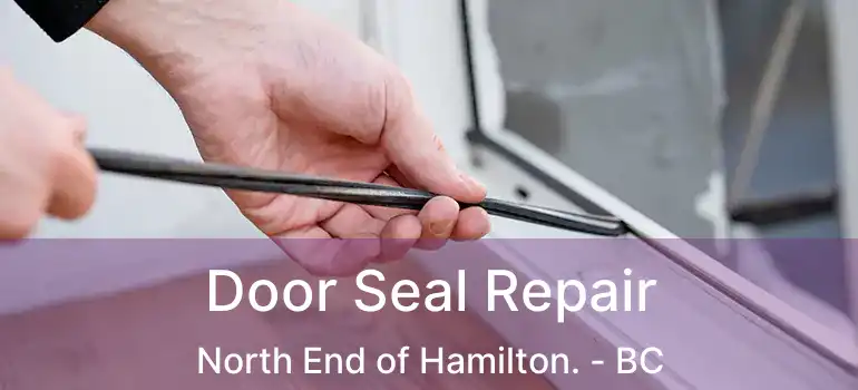  Door Seal Repair North End of Hamilton. - BC