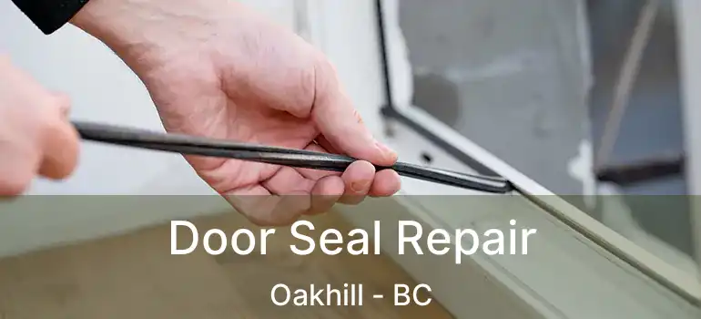  Door Seal Repair Oakhill - BC