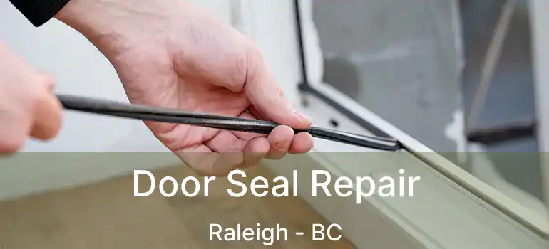  Door Seal Repair Raleigh - BC