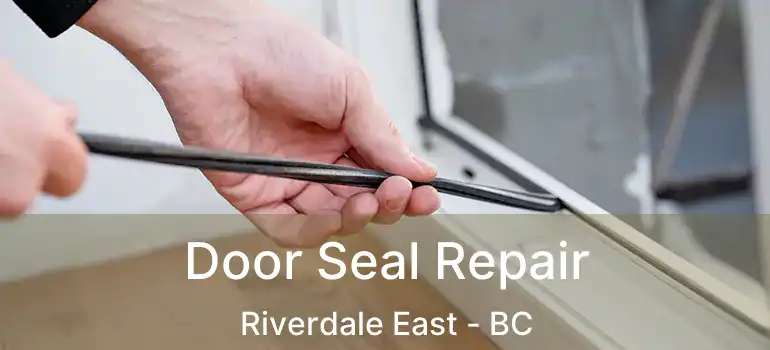  Door Seal Repair Riverdale East - BC