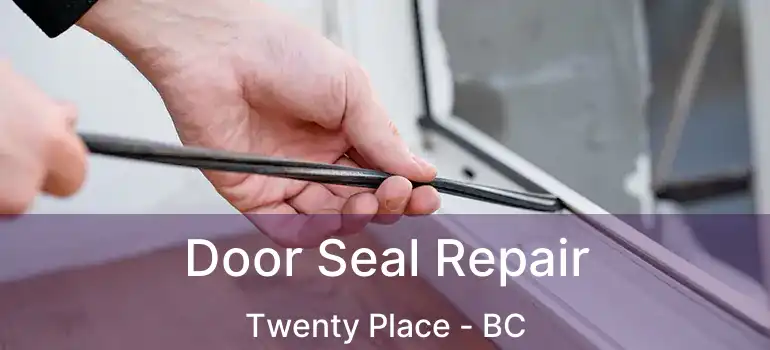  Door Seal Repair Twenty Place - BC