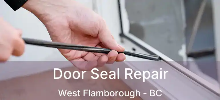  Door Seal Repair West Flamborough - BC