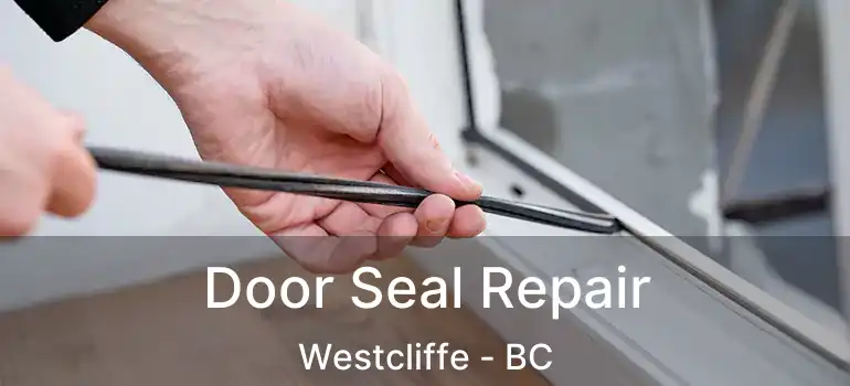  Door Seal Repair Westcliffe - BC