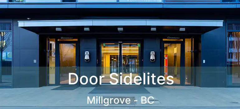  Door Sidelites Millgrove - BC