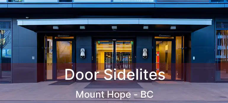  Door Sidelites Mount Hope - BC