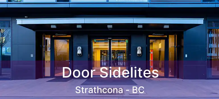  Door Sidelites Strathcona - BC