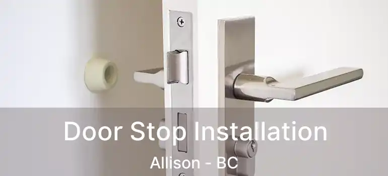  Door Stop Installation Allison - BC