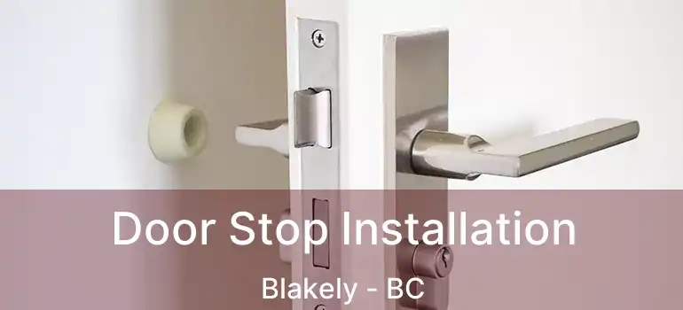  Door Stop Installation Blakely - BC
