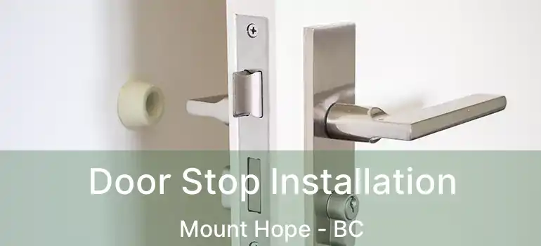  Door Stop Installation Mount Hope - BC