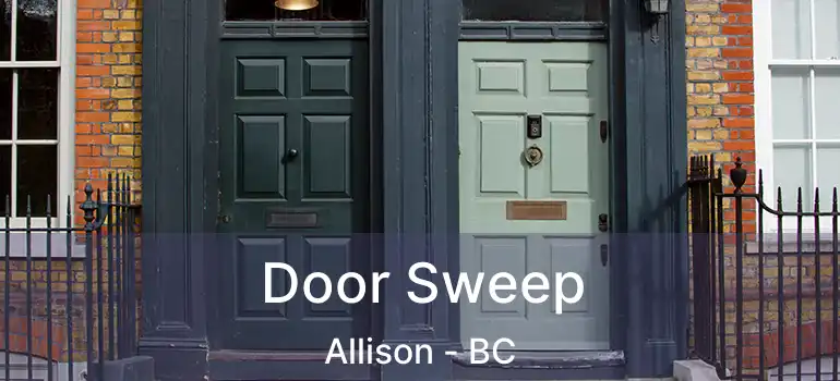  Door Sweep Allison - BC