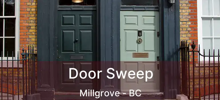  Door Sweep Millgrove - BC
