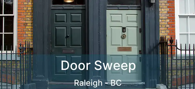  Door Sweep Raleigh - BC