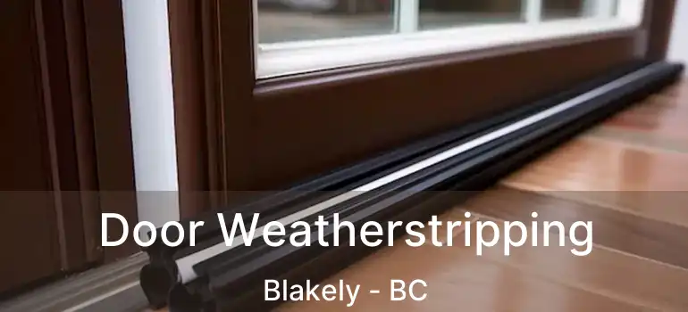  Door Weatherstripping Blakely - BC
