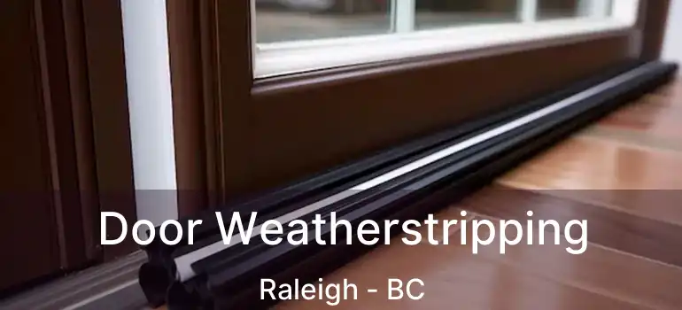  Door Weatherstripping Raleigh - BC