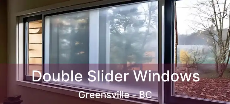  Double Slider Windows Greensville - BC