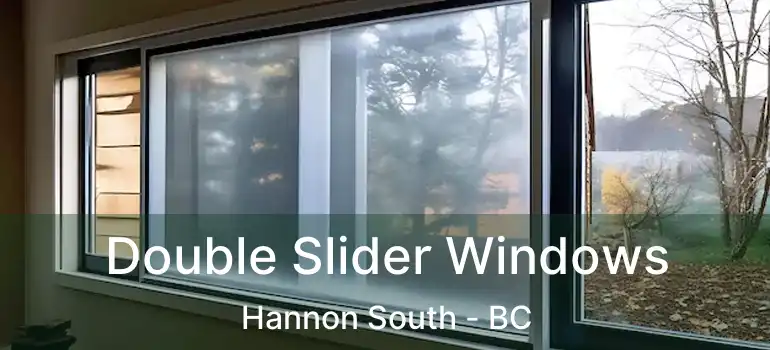  Double Slider Windows Hannon South - BC