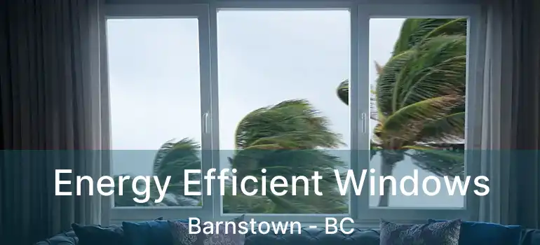  Energy Efficient Windows Barnstown - BC