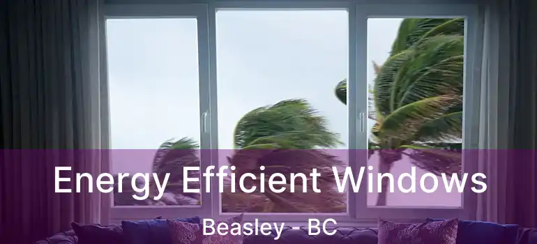  Energy Efficient Windows Beasley - BC
