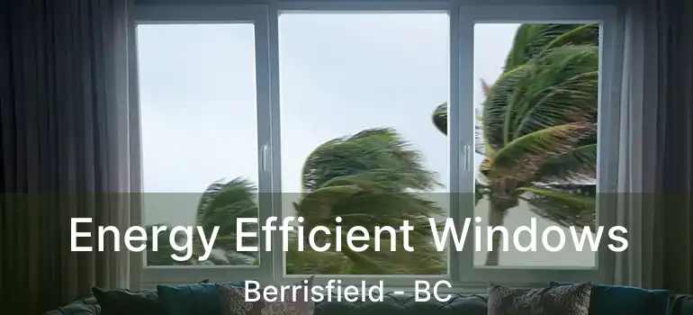  Energy Efficient Windows Berrisfield - BC