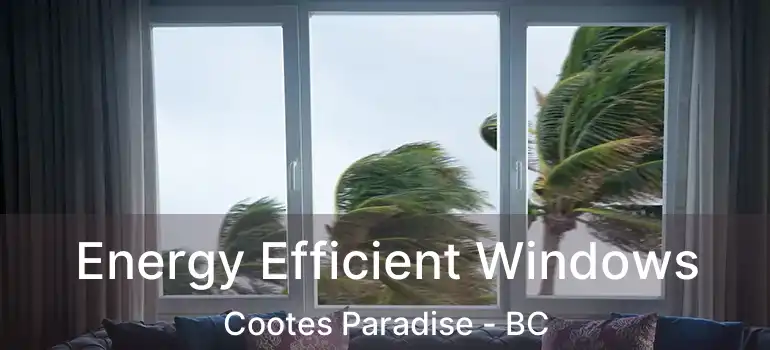  Energy Efficient Windows Cootes Paradise - BC