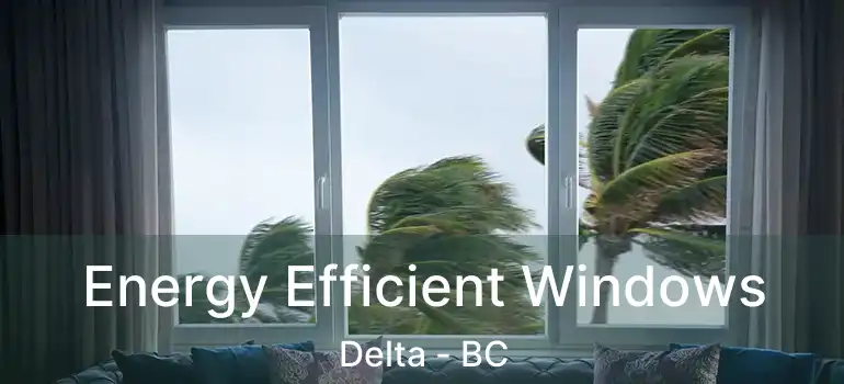  Energy Efficient Windows Delta - BC