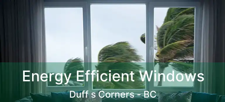 Energy Efficient Windows Duff s Corners - BC