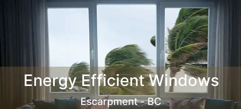  Energy Efficient Windows Escarpment - BC