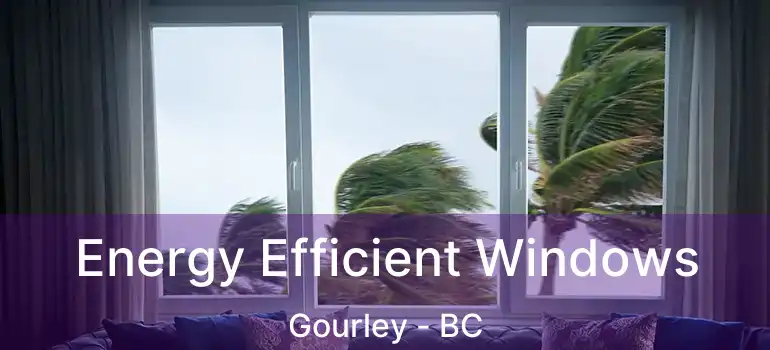  Energy Efficient Windows Gourley - BC