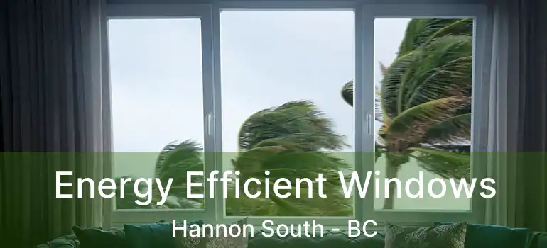  Energy Efficient Windows Hannon South - BC