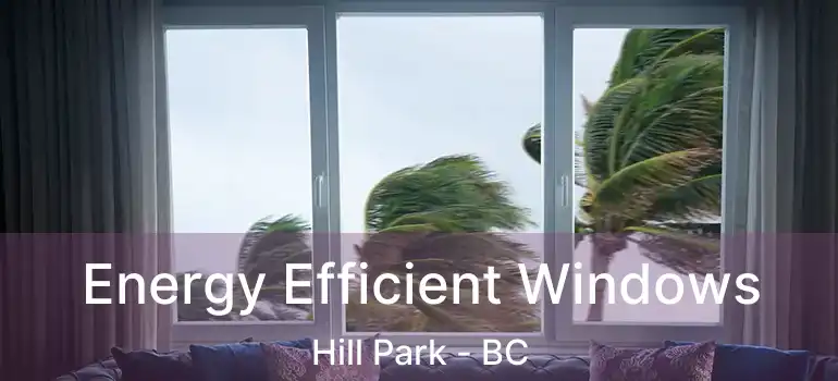  Energy Efficient Windows Hill Park - BC