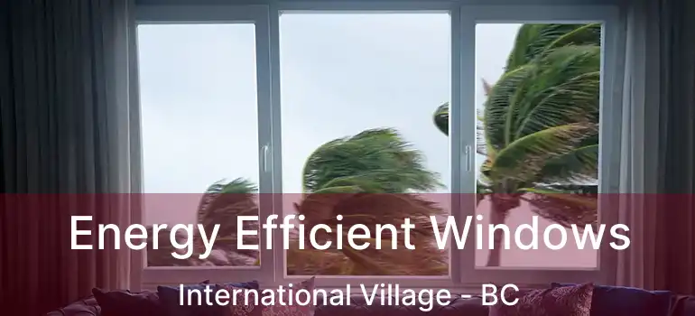  Energy Efficient Windows International Village - BC