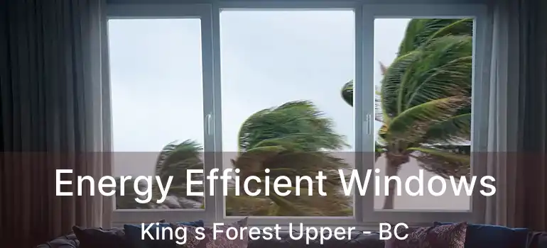  Energy Efficient Windows King s Forest Upper - BC