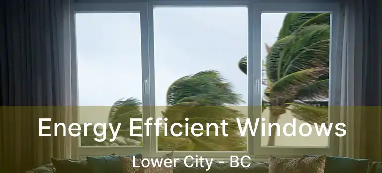  Energy Efficient Windows Lower City - BC