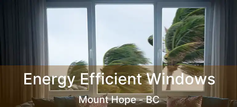  Energy Efficient Windows Mount Hope - BC