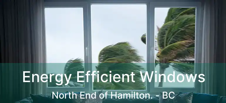  Energy Efficient Windows North End of Hamilton. - BC