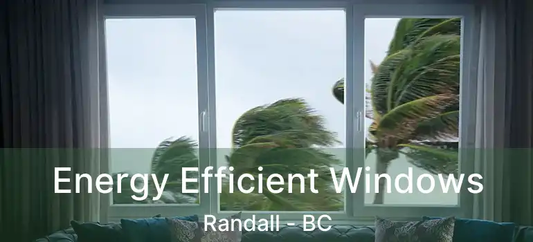  Energy Efficient Windows Randall - BC