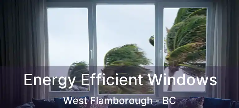  Energy Efficient Windows West Flamborough - BC