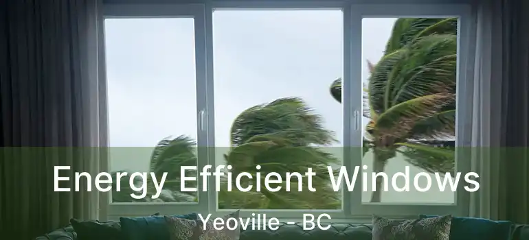  Energy Efficient Windows Yeoville - BC