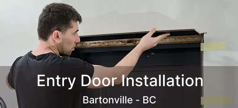  Entry Door Installation Bartonville - BC