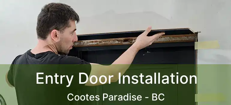  Entry Door Installation Cootes Paradise - BC