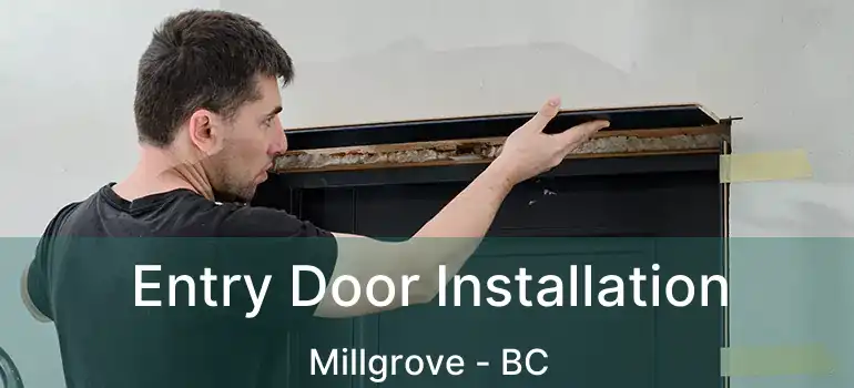  Entry Door Installation Millgrove - BC